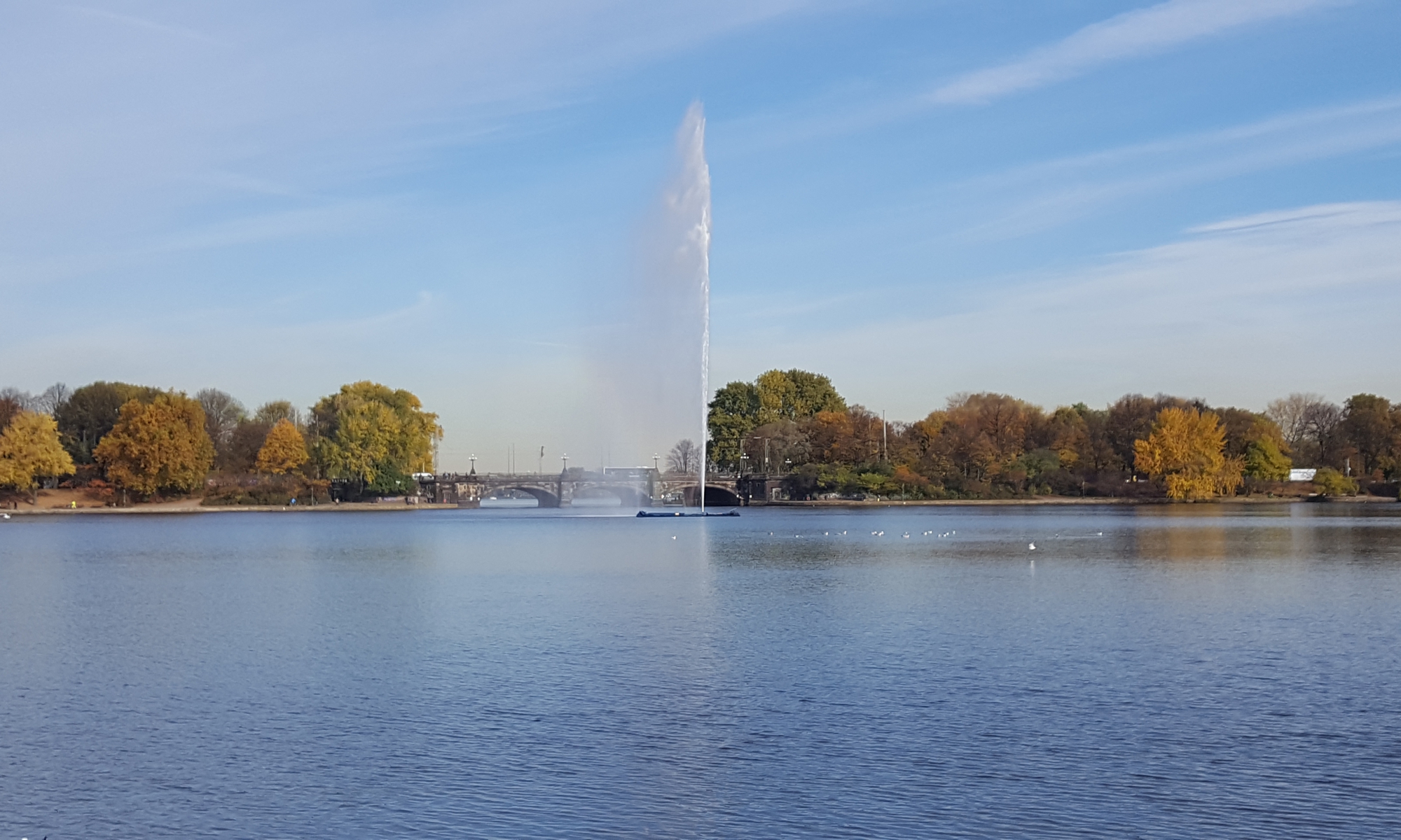 A I S Rechtsanwaelte Fachanw lte In Hamburg Steuerrecht 
